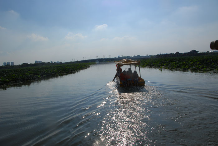 Ϧ�������ӭ�������ϰ�